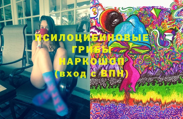 прущий лед Пестово