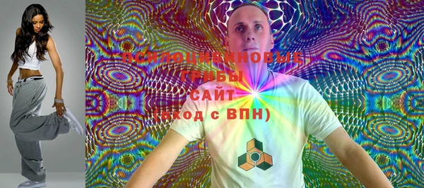 твердый Алзамай
